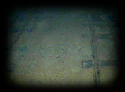 217 Double Tracks